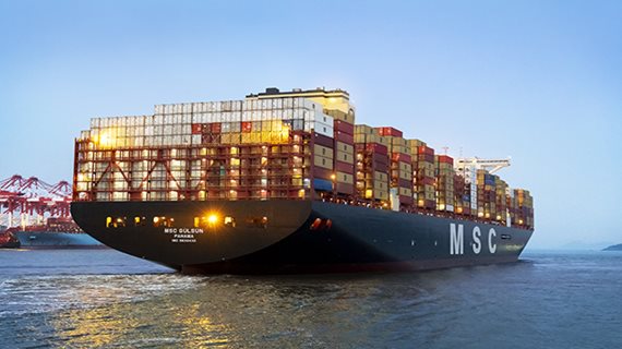MSC_GULSUN_3_resized_website