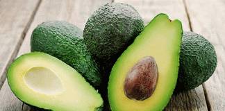 MSC Completes First Ever Avocado Shipment from Colombia to China