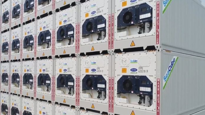 Carrier-Transicold-Seacube-Lynx-Fleet-Launch
