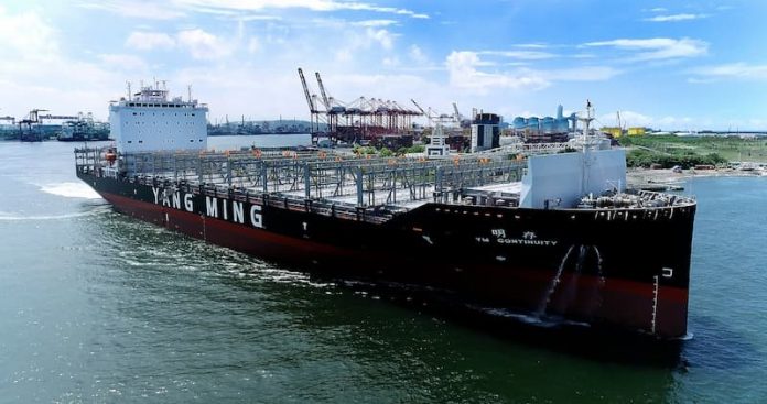 YM2 Yang Ming