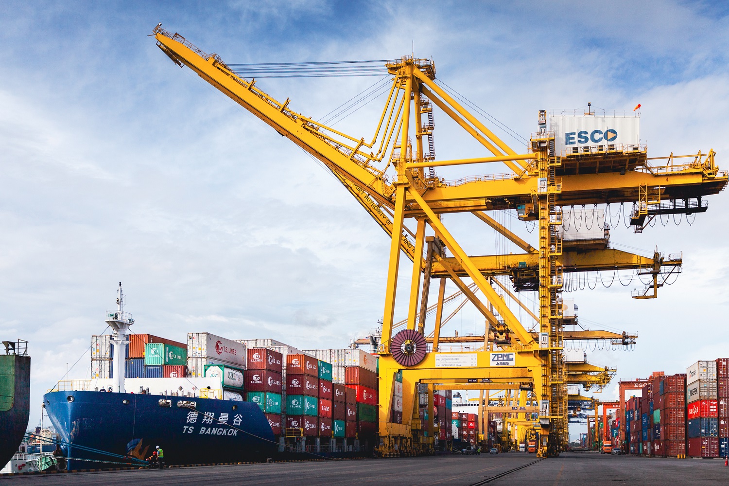 T S Lines Celebrates th Anniversary And Continous Growth